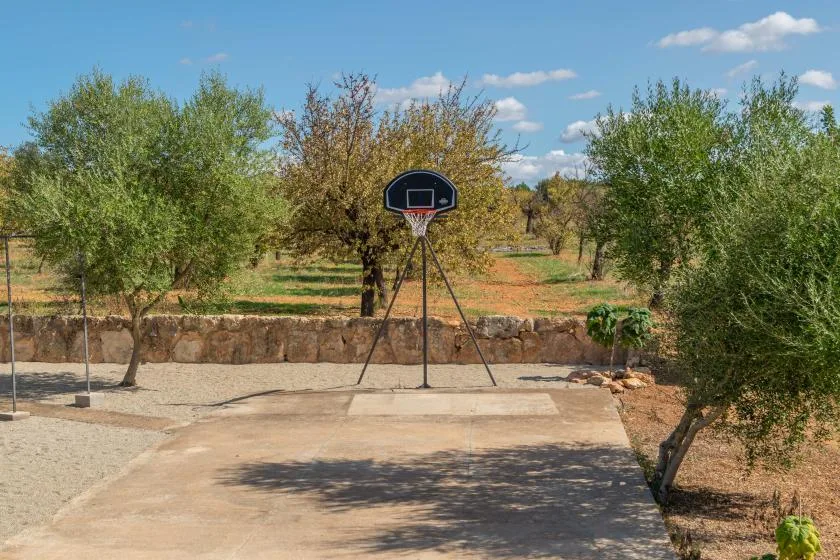 Una canasta de baloncesto al aire libre está en una cancha pavimentada entre árboles.