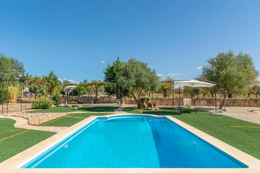 Una piscina rectangular está en un patio ajardinado bajo un cielo azul despejado.