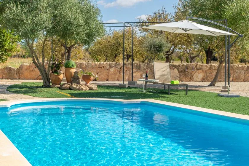 Una piscina al aire libre junto a una zona de césped con asientos y una gran cubierta de sombra.