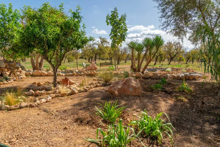 Un jardín cuidado con árboles, arbustos y bordes de piedra.