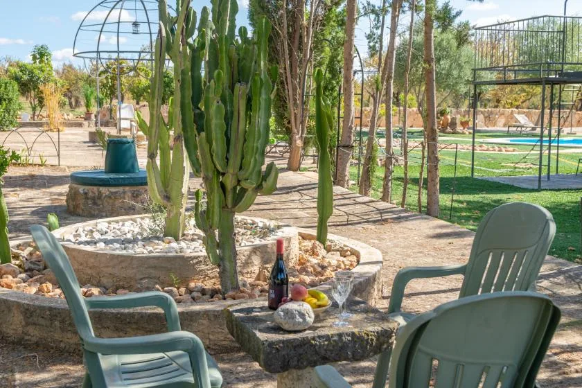 Una zona de estar al aire libre rodea un cactus alto y una jardinera de piedra.