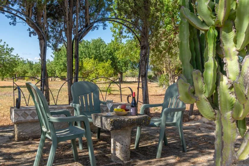 Una zona de estar al aire libre bajo un arco metálico sombreado, con árboles y un cactus cerca.