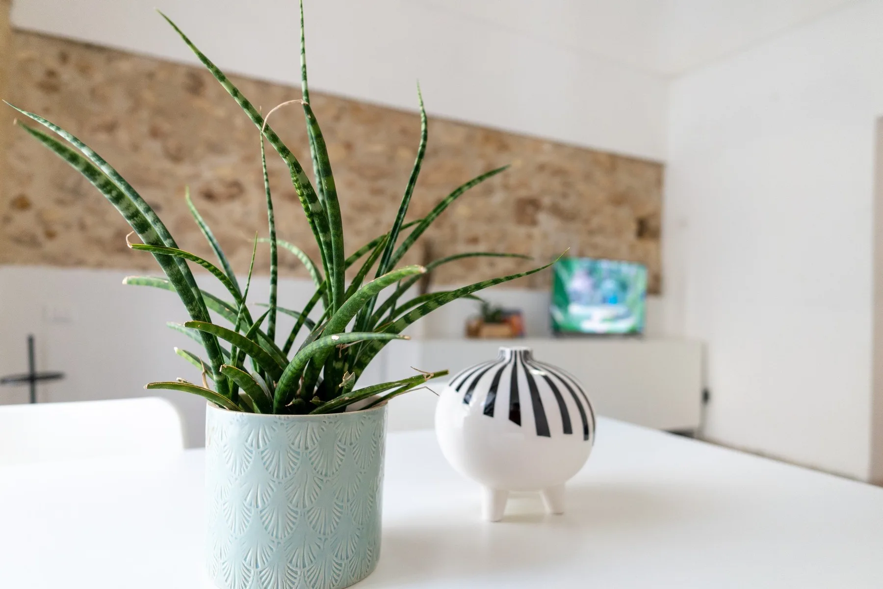 Una sala de estar con una planta en maceta y un pequeño objeto decorativo sobre una mesa.