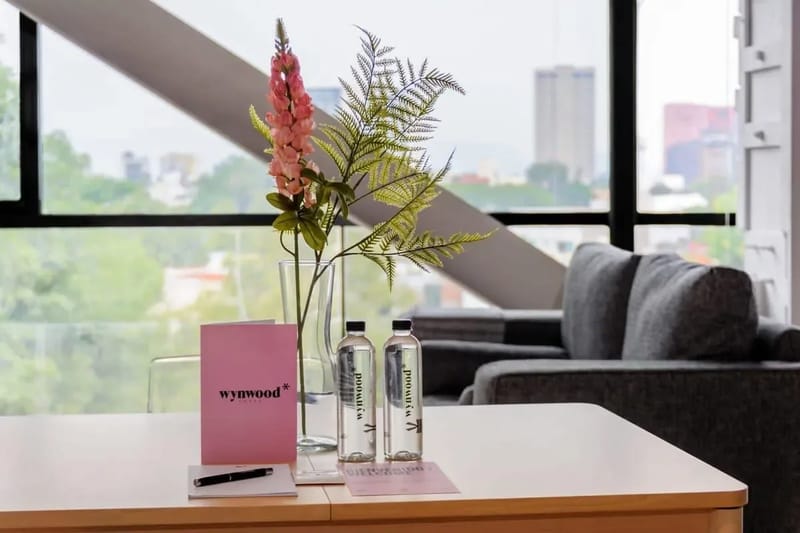 Comfy Loft near Polanco