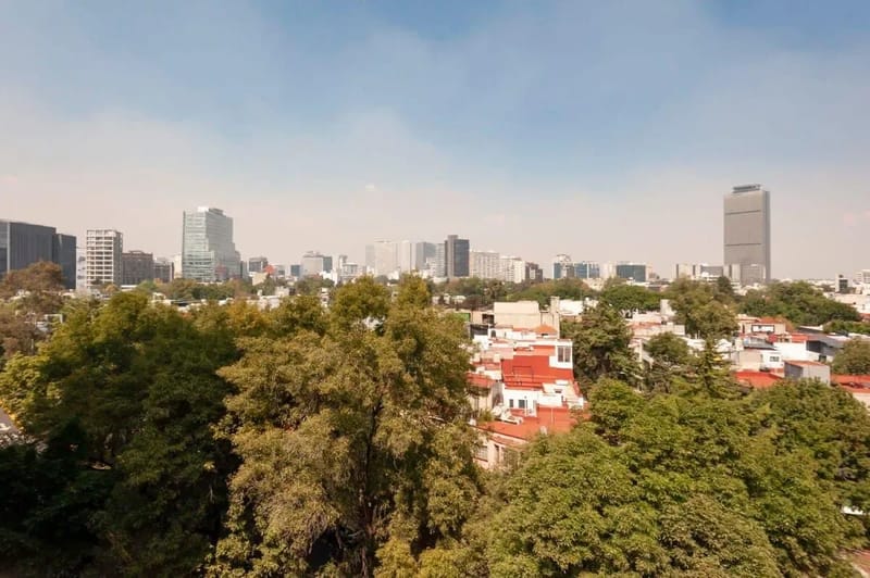 Comfy Loft near Polanco