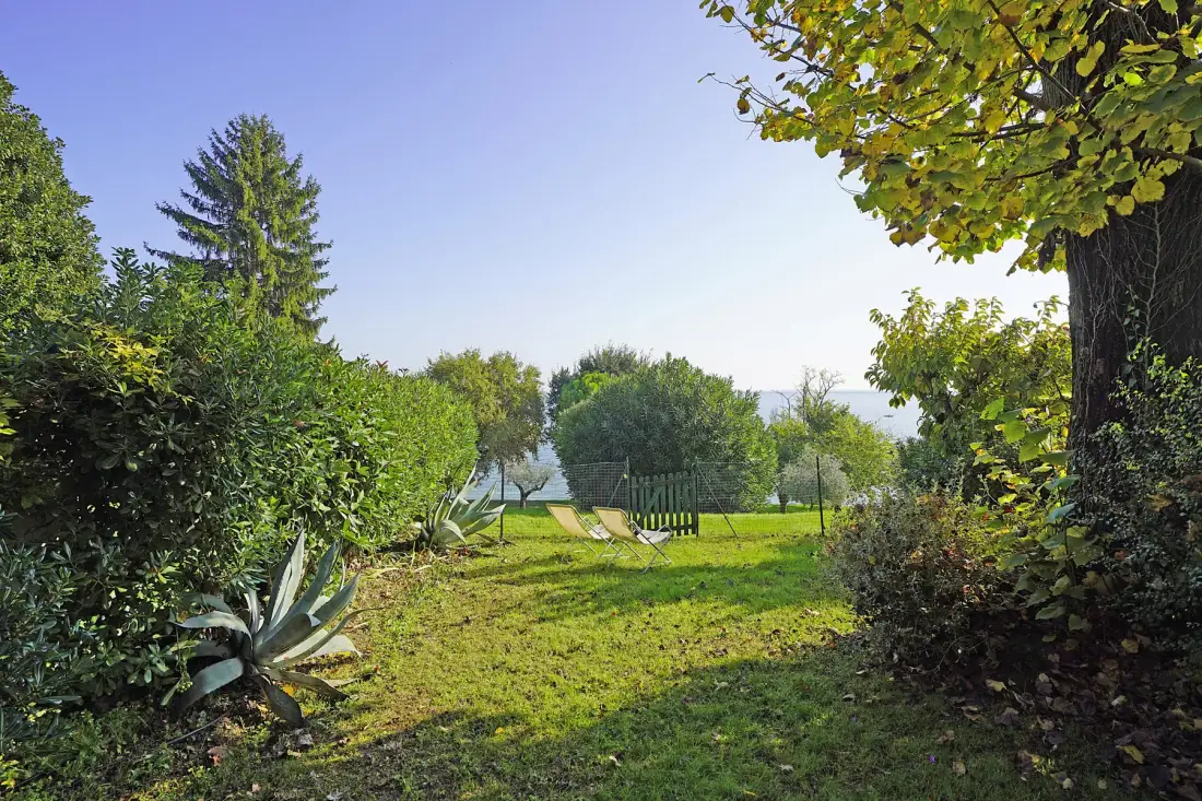 A garden with green lawn, leafy trees, and a view of water in the distance.