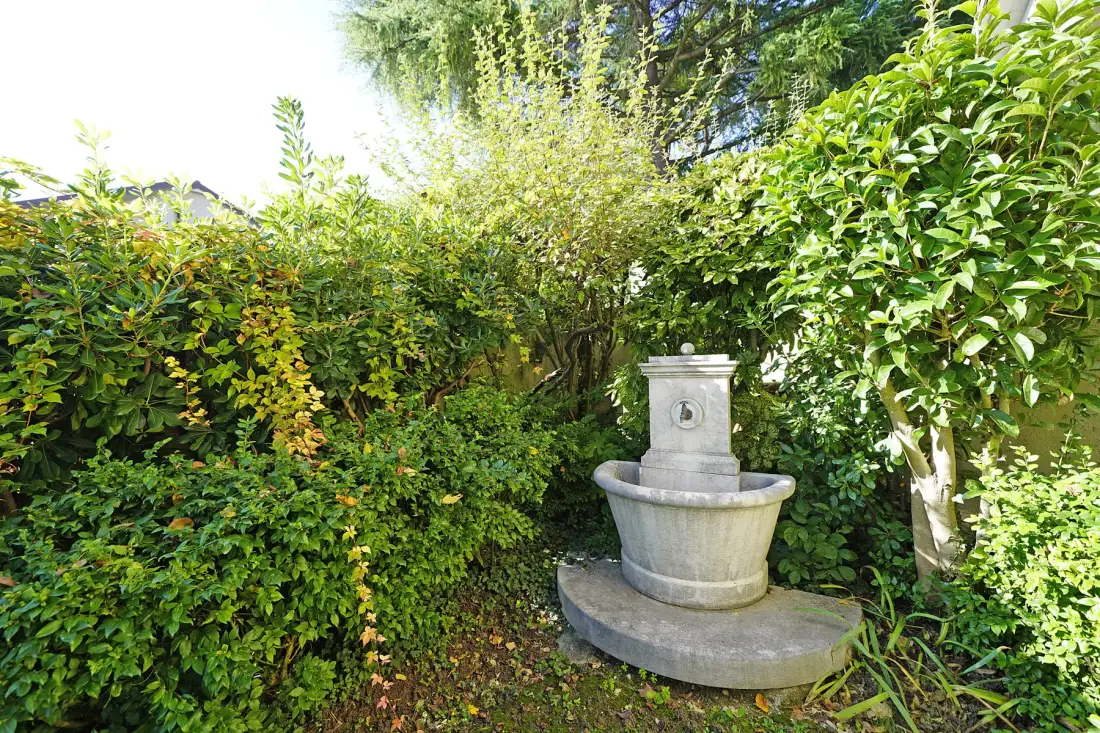 A garden fountain stands among dense green shrubs and trees.