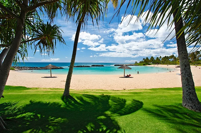 Una playa tropical con agua turquesa, orilla de arena y palmeras.