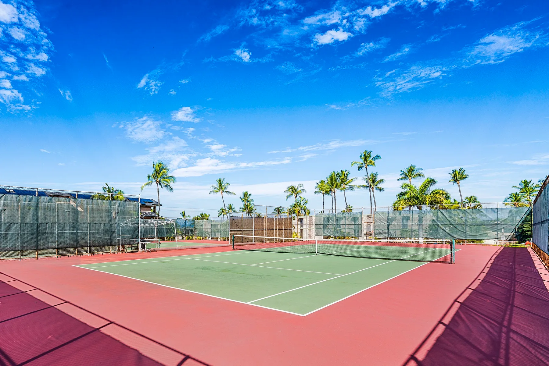Una cancha de tenis al aire libre con palmeras y cercas bajo un cielo azul despejado.