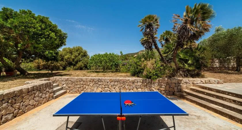 An outdoor table tennis table stands beside stone retaining walls and garden greenery.