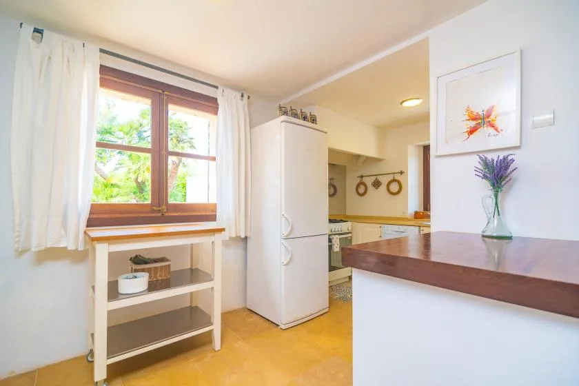 A bright kitchen with a refrigerator, counter, and a window overlooking greenery.