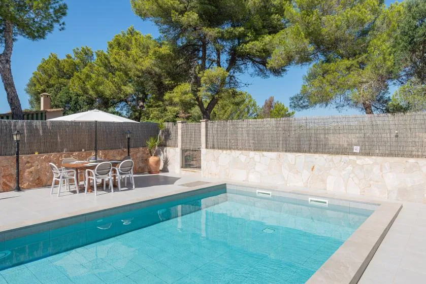 An outdoor swimming pool beside a patio seating area, with trees beyond the fence.