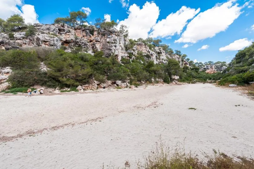 A sandy beach lies below rocky cliffs and scattered trees.