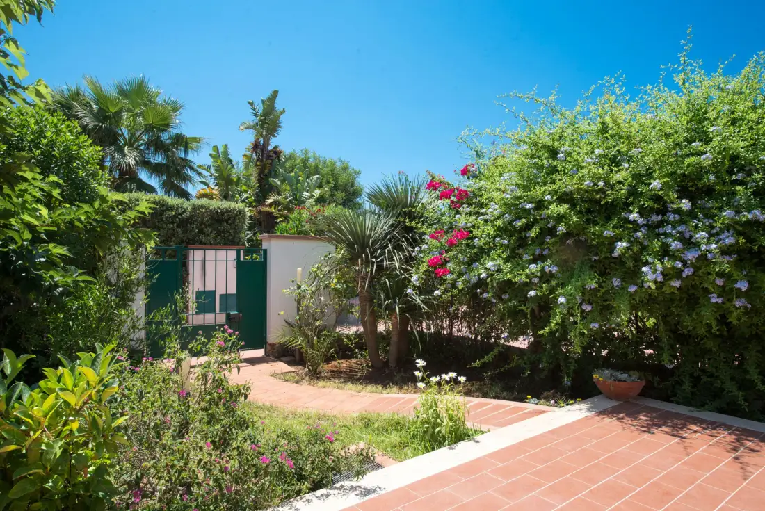 A garden path curves past flowering shrubs and palm trees under a clear blue sky.