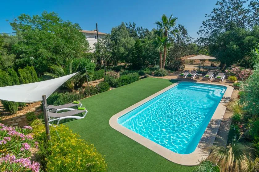 Una piscina junto a un césped, asientos a la sombra y árboles alrededor.