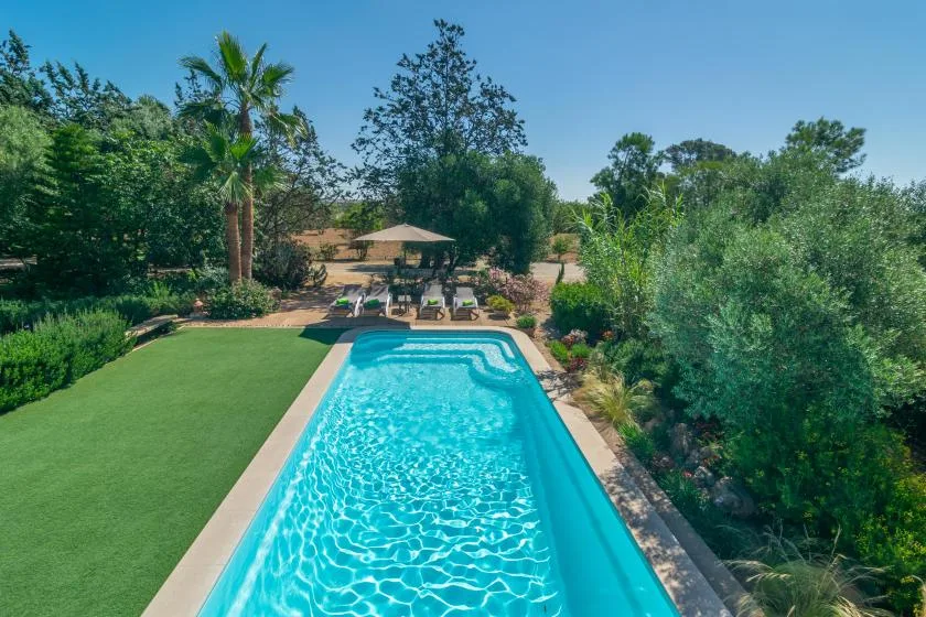 Piscina al aire libre junto a un césped verde, con árboles y asientos al fondo.