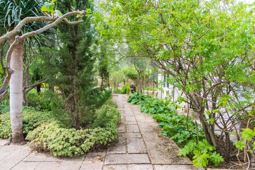 Un sendero de piedra atraviesa un jardín frondoso con árboles y plantas bajas.