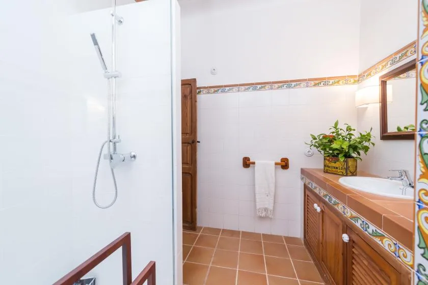 Un baño con azulejos, ducha, lavabo y una planta en maceta.