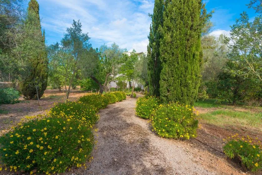 Un sendero de jardín serpentea entre arbustos floridos y árboles altos.