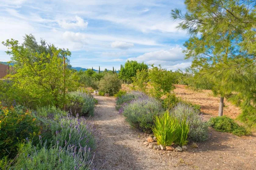 Un sendero de jardín serpentea entre arbustos floridos y árboles bajo un cielo parcialmente nublado.
