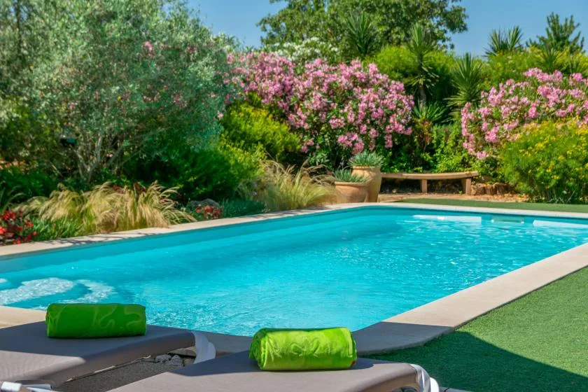 Una piscina rodeada de plantas verdes y arbustos en flor.