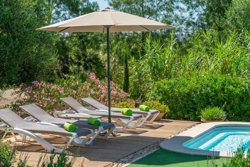 Asientos junto a una piscina al aire libre bajo una sombrilla grande, rodeados de plantas verdes.