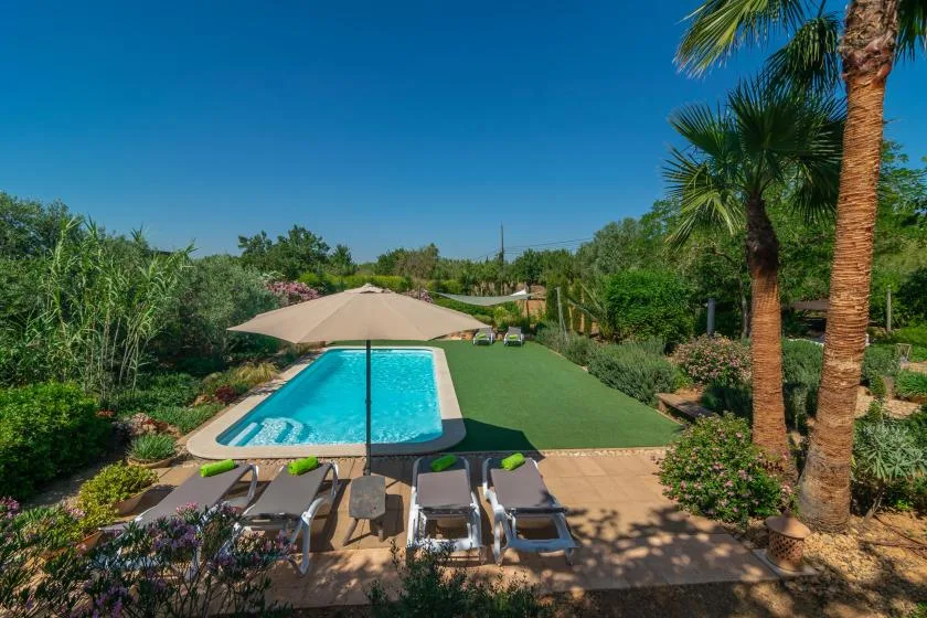 Una piscina exterior junto a un césped, con tumbonas y palmeras.