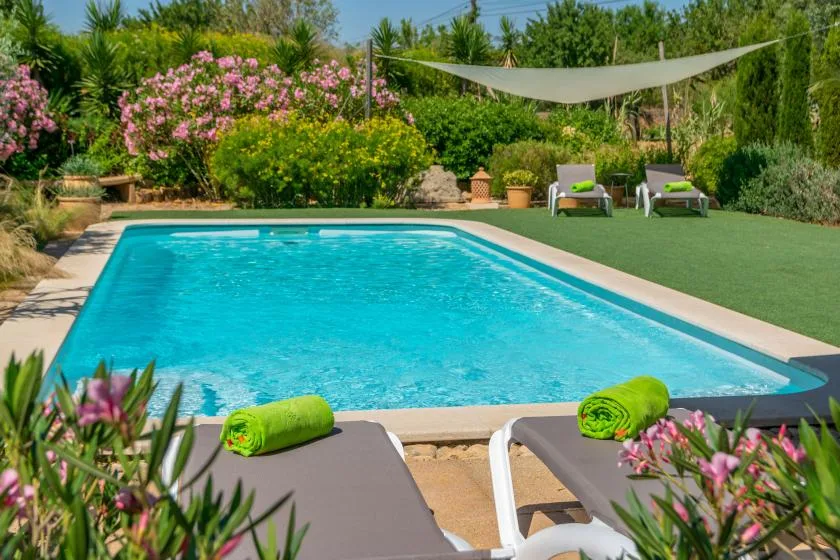 Una piscina con tumbonas, una vela de sombra y arbustos en flor.