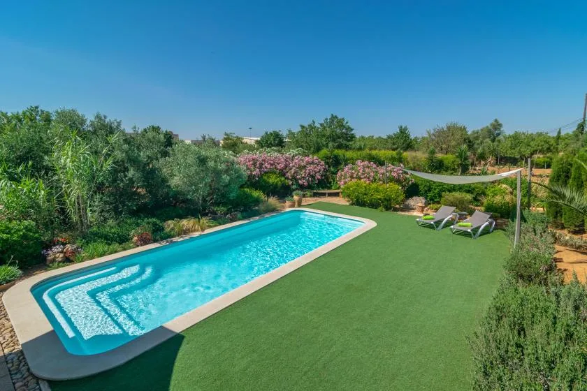 Una piscina está junto a un amplio césped, con plantas de jardín al fondo.