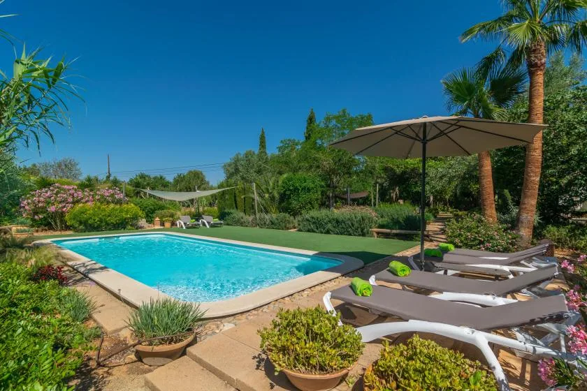 Una piscina rodeada de plantas de jardín y asientos reclinables.