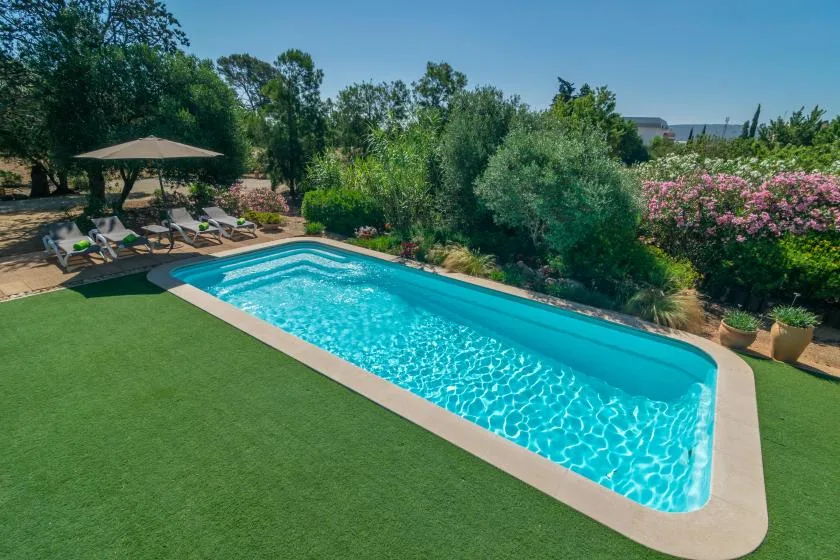 Una piscina rodeada de césped verde, árboles y arbustos con flores.