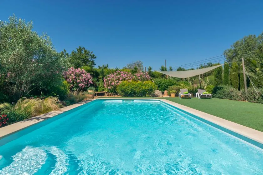 Una piscina al aire libre está rodeada de vegetación y asientos de jardín.