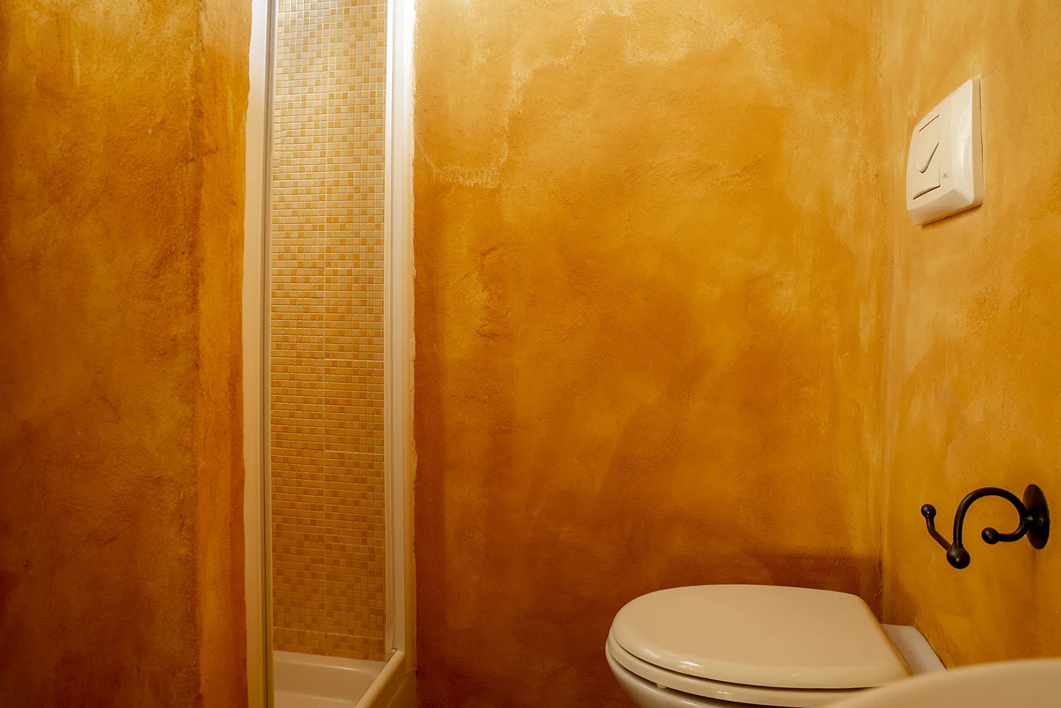 A bathroom with a toilet beside a narrow tiled shower area.