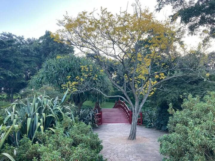 Un sendero pavimentado conduce a un pequeño puente rojo entre árboles y arbustos.