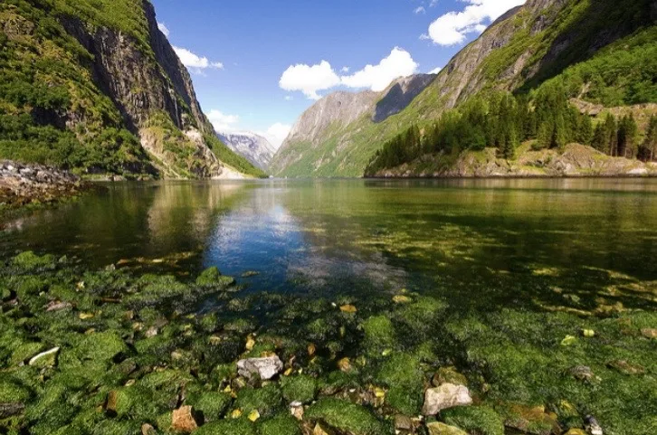 Imagen del alojamiento Gudvangen Fjordtell