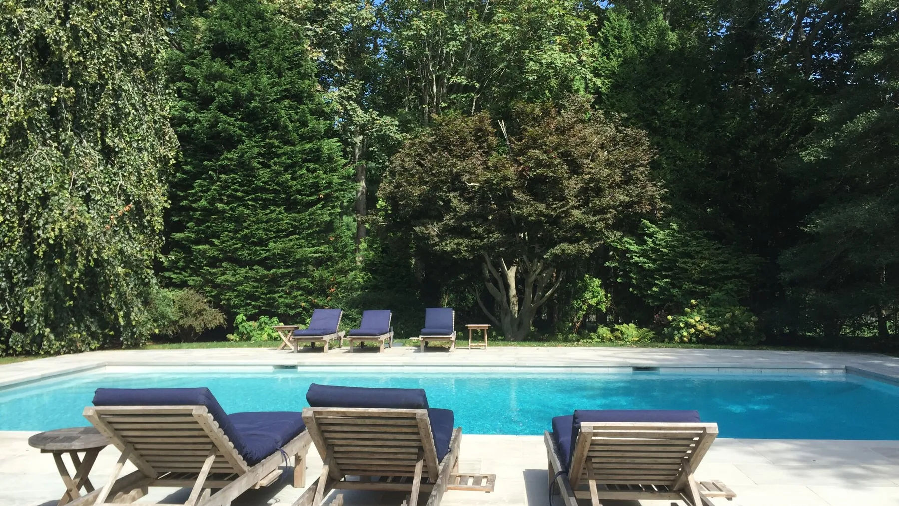 Una piscina al aire libre está rodeada de asientos reclinables y árboles frondosos.