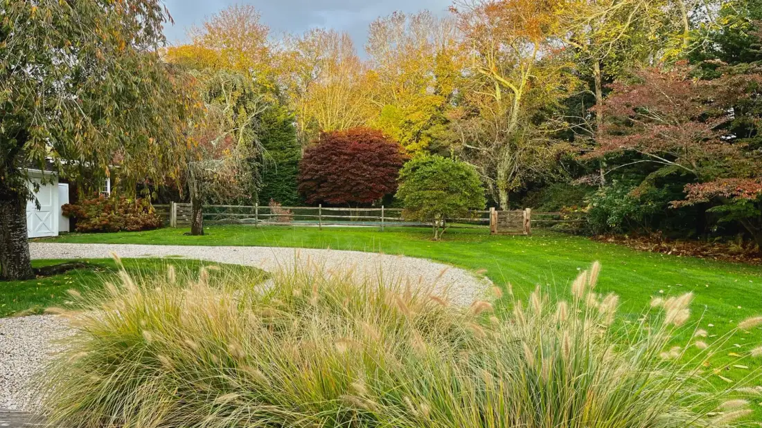 Un jardín ajardinado con hierbas ornamentales, un sendero curvo y árboles otoñales.
