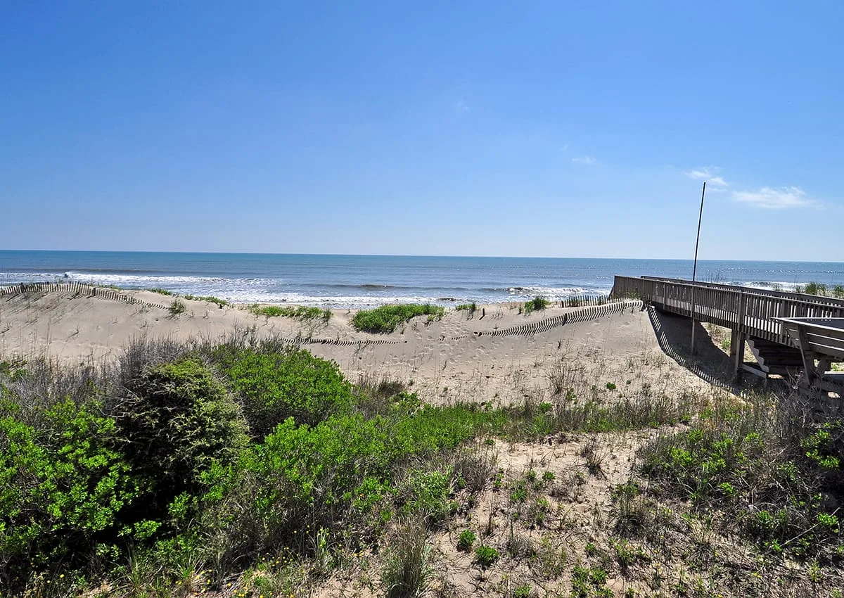 A sandy beach and ocean are visible beyond coastal grasses and shrubs.