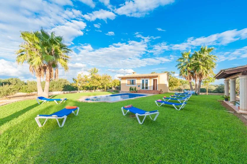 A grassy outdoor pool area with lounge seating, palm trees, and a house.