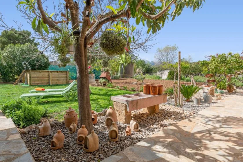 Un jardín soleado con un camino de piedra, un árbol frondoso y macetas de barro.