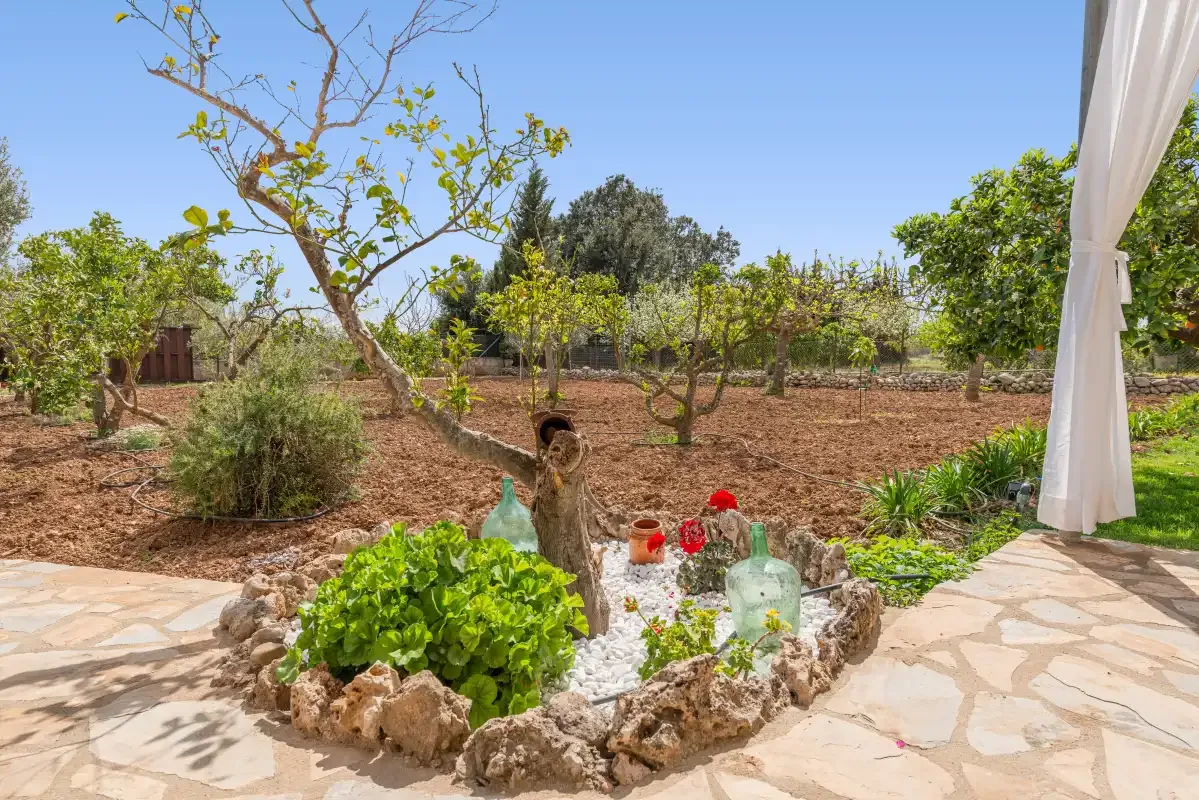 Un patio ajardinado con un parterre delimitado por piedras y árboles.