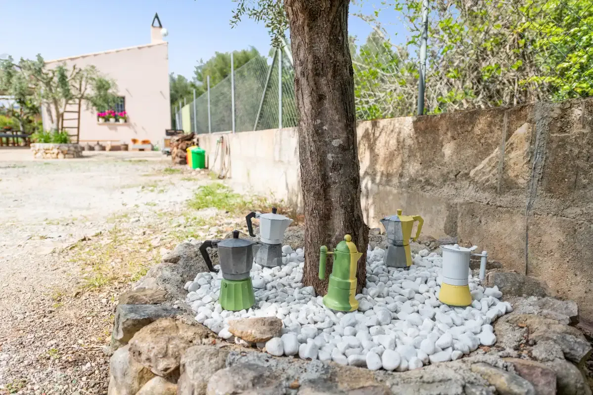 Un patio exterior con cafeteras dispuestas alrededor de un árbol en un lecho de piedras blancas.