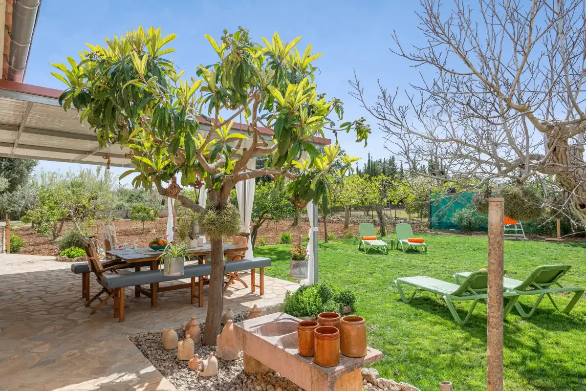 Un patio ajardinado con asientos al aire libre, plantas en macetas y césped.