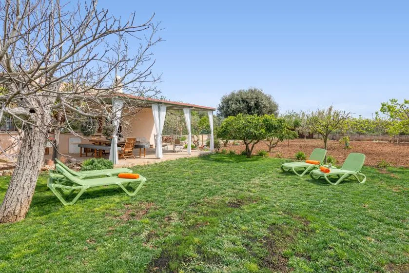 Un patio ajardinado con tumbonas verdes, césped y árboles frondosos.