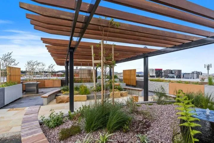 A rooftop garden with a wooden pergola, raised planters, and a small water feature.