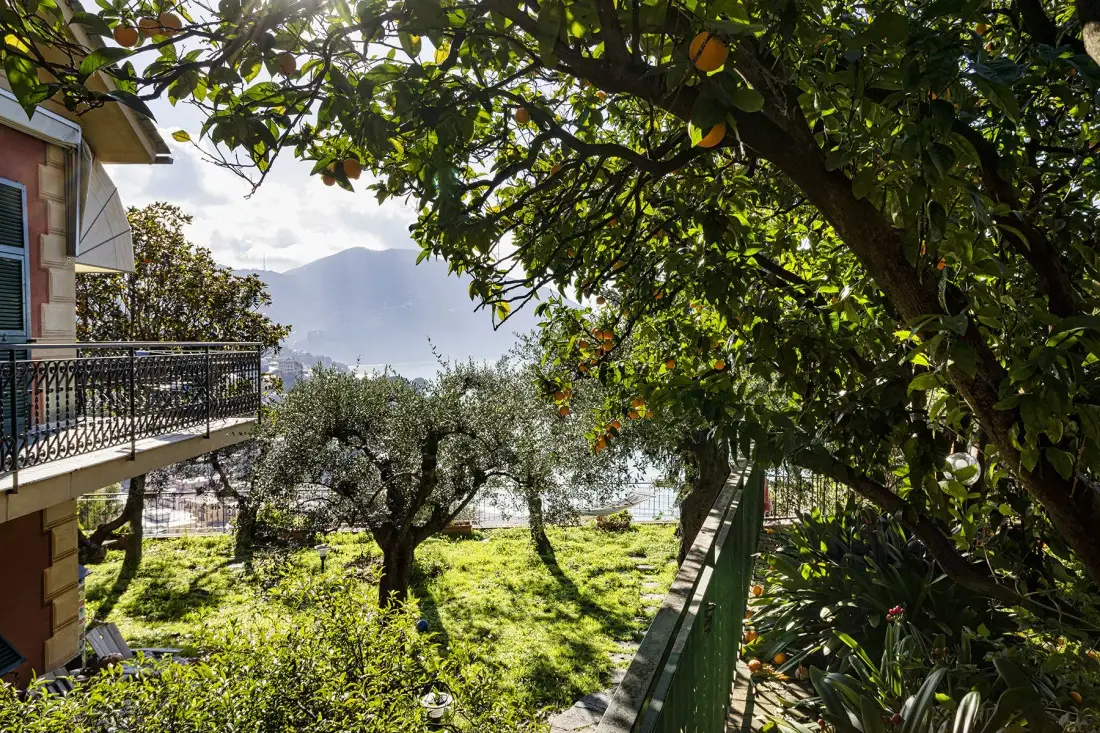 A leafy garden with trees, a balcony, and mountains in the distance.