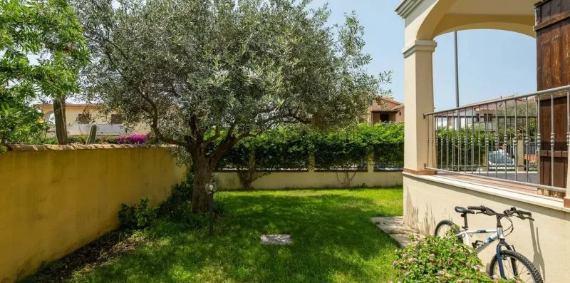 Un jardín con un árbol frondoso, césped verde y una bicicleta junto a la casa.
