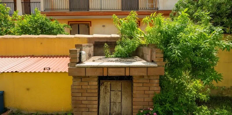 Una pequeña estructura de ladrillo está junto a una pared amarilla y plantas frondosas.