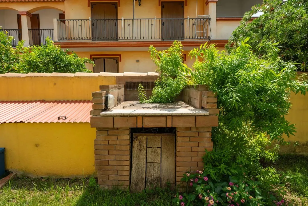 Un horno de ladrillo al aire libre está rodeado de vegetación frente a un edificio amarillo.