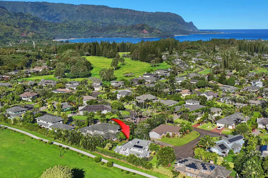 An aerial view of a residential neighborhood with a green mountain ridge and ocean beyond.